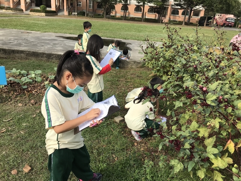 食農教育洛神小書